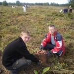 OLYMPUS DIGITAL CAMERA