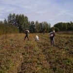 ???????????????????????????????